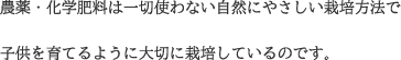 農薬・化学肥料は一切使わない自然にやさしい栽培方法で子供を育てるように大切に栽培しているのです。