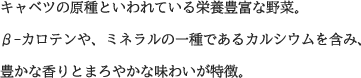 キャベツの原種といわれている栄養豊富な野菜。β-カロテンや、ミネラルの一種であるカルシウムを含み、豊かな香りとまろやかな味わいが特徴。