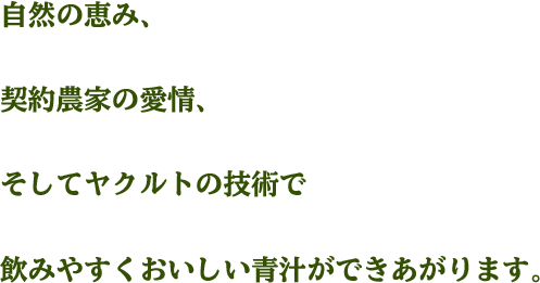 自然の恵み、契約農家の愛情、そしてヤクルトの技術で飲みやすくおいしい青汁ができあがります。