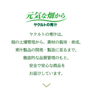 元気な畑から ヤクルトの青汁 ヤクルトの青汁は、畑の土壌管理から、素材の栽培・育成、青汁製品の開発・製造に至るまで、徹底的な品質管理のもと、安全で安心な商品をお届けしています。