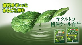 ヤクルトの国産ケール青汁