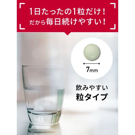 鉄・葉酸（30粒）