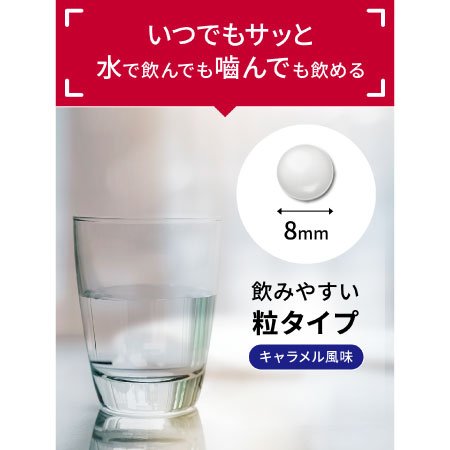 アミノパーフェクト 粒タイプ（480粒）