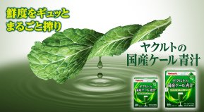 ヤクルトの国産ケール青汁