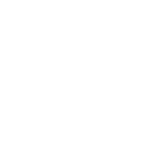 セロリの約14本分